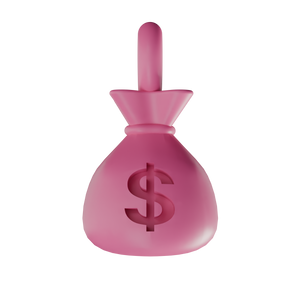 Money Bag / Pink